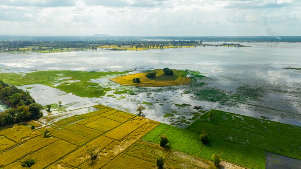 Natural water reservoir. Water sustainability. Landscape of green grass field and rice farm. Fresh